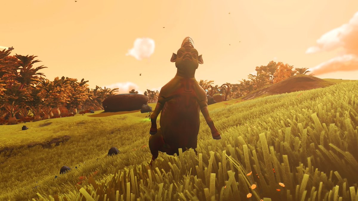 NessaAlaster's tweet photo. @NoMansSky Owlbear and Tiki say thank you! You and the HG team have done an AMAZING job! Keep up the good work! https://t.co/GLfe3ydNaJ