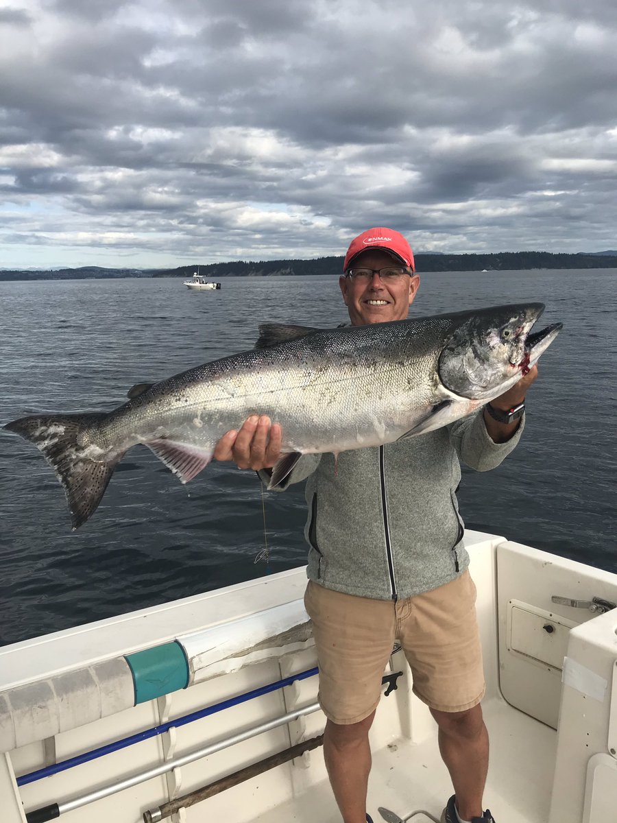 Tom Sampson tweet media