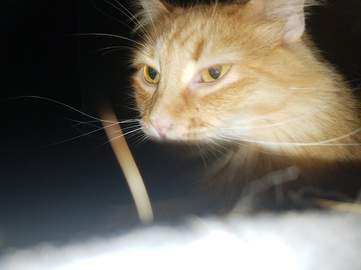 PMurdercat's tweet photo. I do believe you are up to no good. That is my job friends #dailyprayers https://t.co/QhZQdUMhFQ