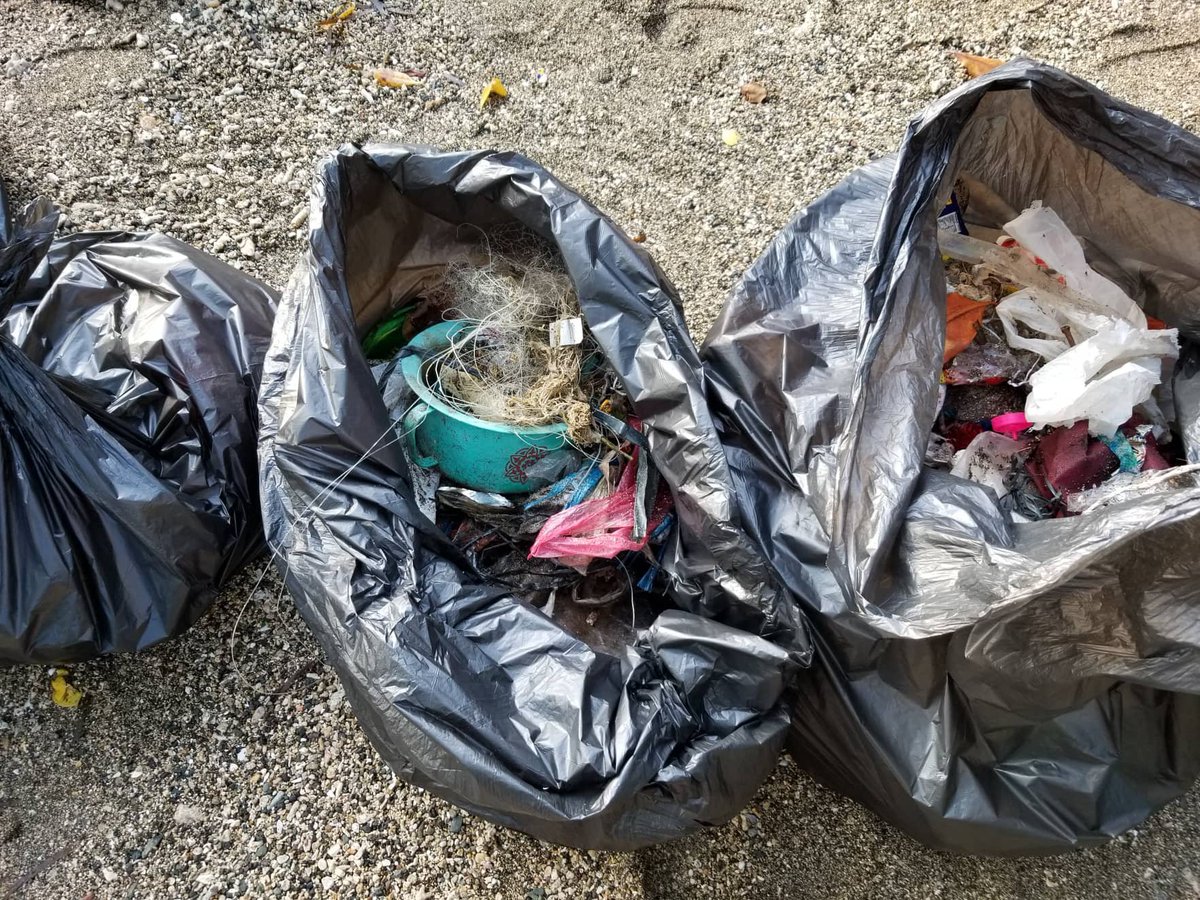 pylp1619's tweet photo. We cleaned up the coast at 5 a.m.  It is not our mess but we did not care.  We picked up all the mess anyway. Location: Misamis Oriental, Philippines  #pylp16 #pylp #niuhuskies #USPHYouthExchange https://t.co/WNPOv5Agr2