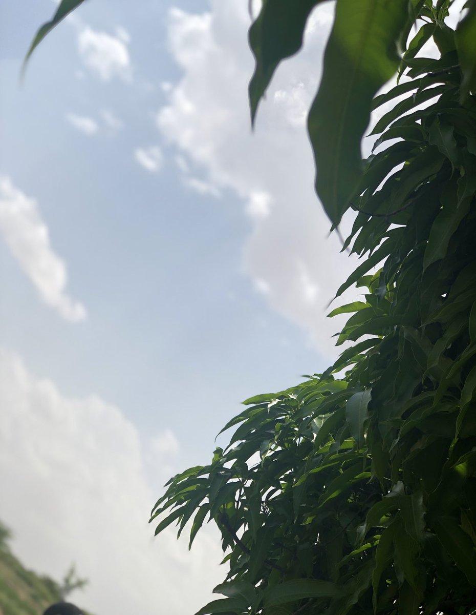 ay_ma22's tweet photo. #اليوم_العالمي_للتصوير 
خليني اطلع لكم ابدعاتي البسيطة..!🥺♥️ https://t.co/ZVABqSBJvj