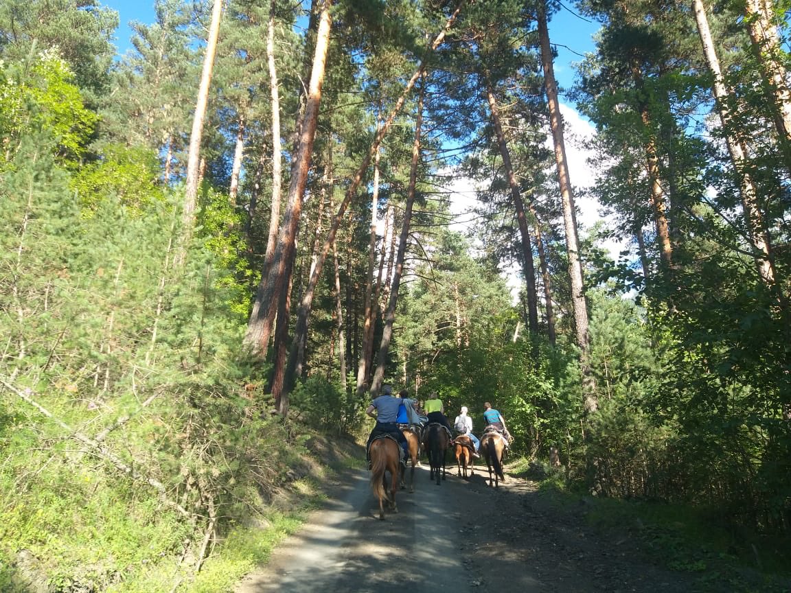 argovoyageint's tweet photo. We are the best in arrangement of any kind of travel activities in whole Georgia. Our very special guides are professional rangers. You and your family- You all are safe with us. #checkintravel_georgia https://t.co/wLMSJvNg54 https://t.co/vY3EpOon3T