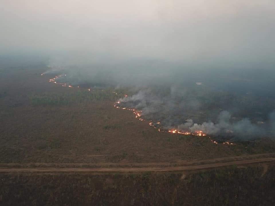 sabriigukk's tweet photo. Gente, esto tiene que saberlo el mundo entero. La Amazonia se está quemando, el último pulmón de la tierra, y el presidente Bolsonaro no está haciendo nada, por favor, difundan esto, para se haga algo al respecto

#PrayforAmazonia https://t.co/07zaYVxx3b