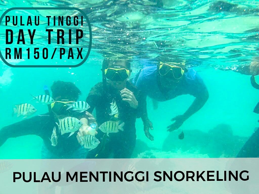 fazlinselaiman tweet media