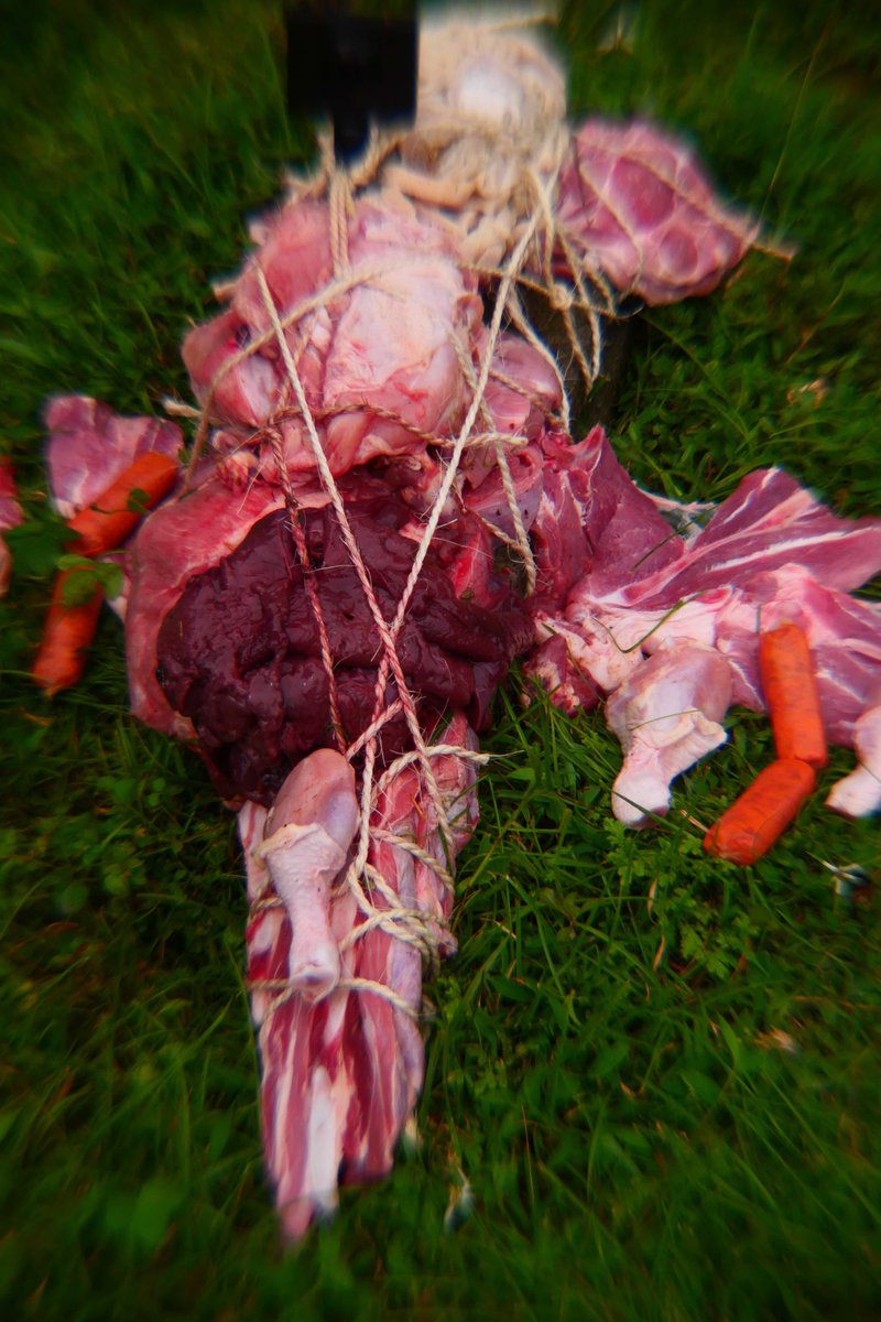 Adam Zaretsky/VASTAL (@vivoarts) on Twitter photo Oocyte Aesthetic, Human Design and Mission Creep noemalab.eu/ideas/oocyte-a… #BABYBUMP <a href="/grinchmovie/">The Grinch</a> #animal <a href="/XFilesNews/">X-Files News</a> Oocyte Aesthetic, Human Design and Mission Creep noemalab.eu/ideas/oocyte-a… #BABYBUMP <a href="/grinchmovie/">The Grinch</a> #animal <a href="/XFilesNews/">X-Files News</a>