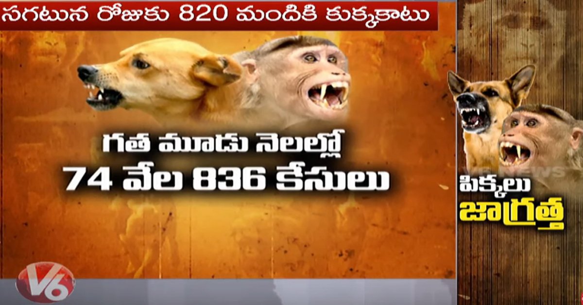 V6News's tweet image. కుక్క కాటుకు...3 నెలల్లో 74 వేల 836 కేసులు.
facebook.com/watch/?v=36306…
#DogsBite #MonkeyBite #Cases #BewareOfDogs #Telangana #V6News