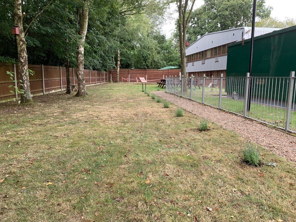 lintottcs's tweet photo. Barnabee Meadow: Update - https://t.co/cW68asQrLI #wellbeing #nature #initiative https://t.co/xs9U80nLNr