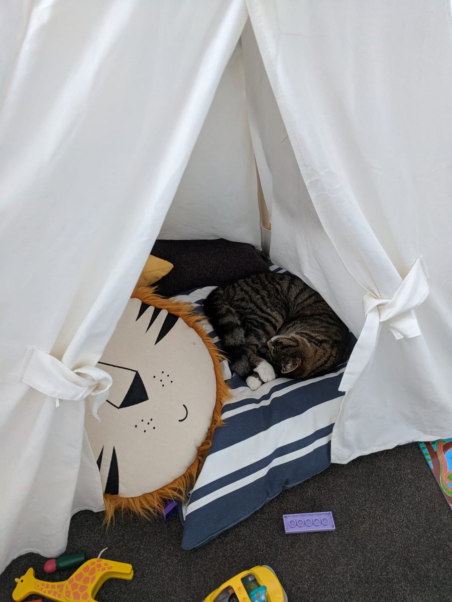 HobbesTweets's tweet photo. Found a nice unoccupied tent https://t.co/oBNRyW6UmF