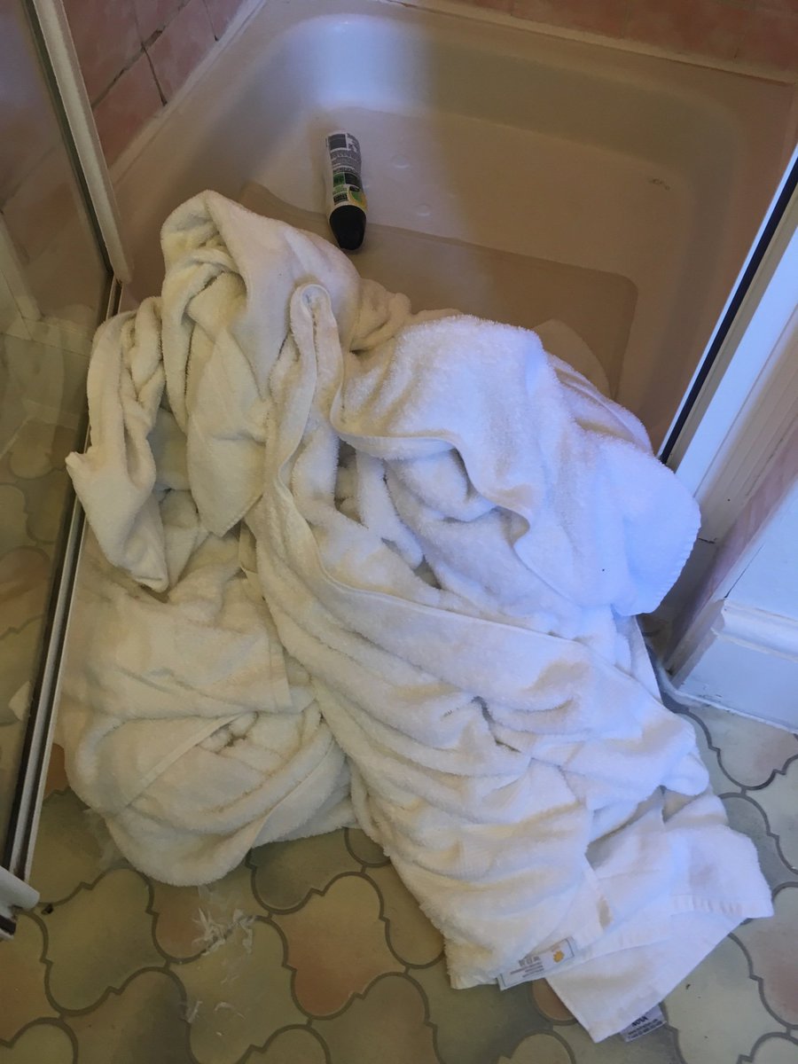 HousekeeperHead's tweet photo. #unnecessaryshit https://t.co/HWoDVR7HHw