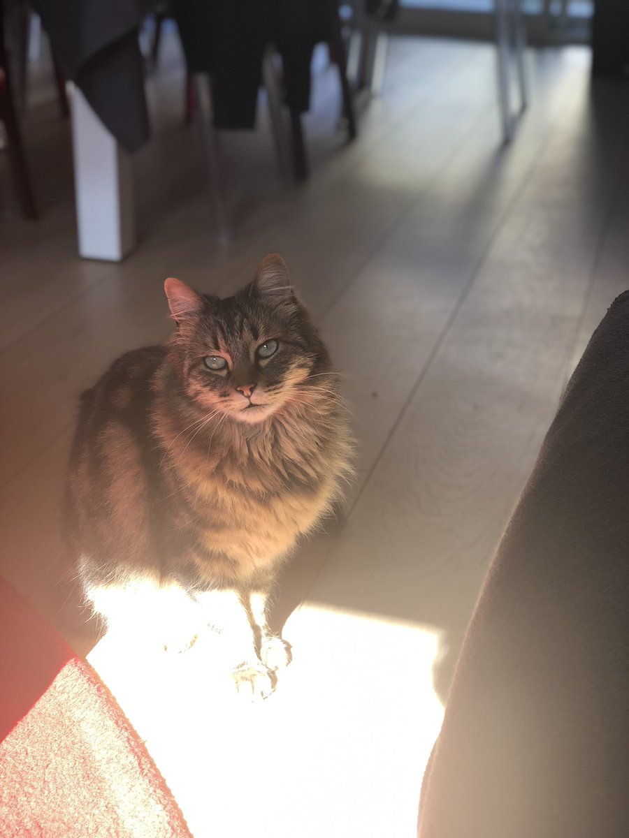 GoulmotIns's tweet photo. Trop beau mon bébé d’amour 🥰 https://t.co/V56BHNwDG5