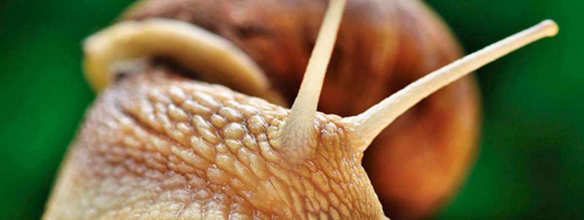 "En lugar de competir contigo mismo, o con el delfín de al lado, compite contra el propio juego para retarlo". Las dos caras de la #competitividad profesional, por <a href="/alterarancha/">Arancha Ruiz Bachs</a>: historiasdecracks.com/2019/08/compet…
#lanzaderamalaga2019 #empleo #desarrolloprofesional #competencias #talentox20