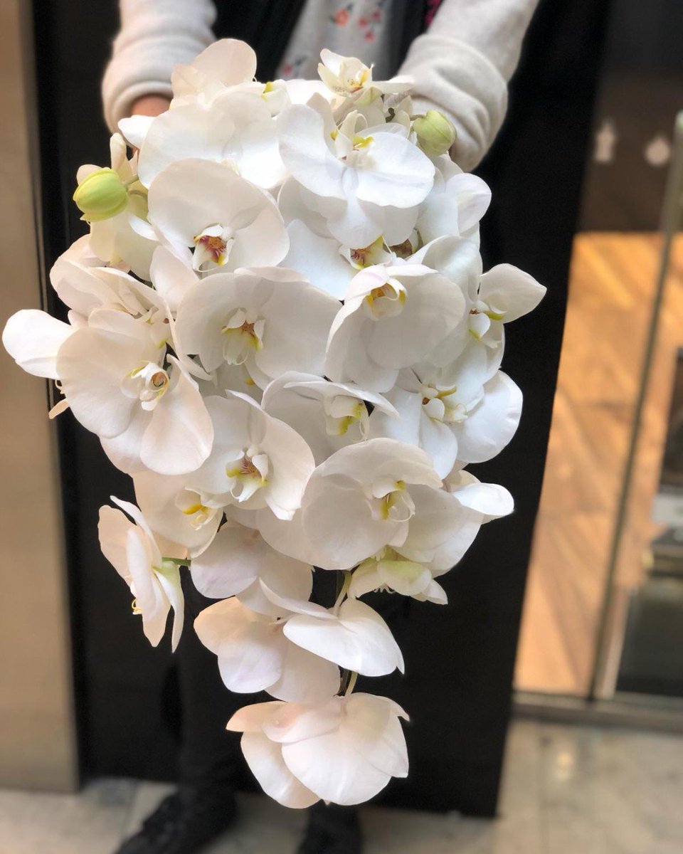 TurnersFlorists's tweet photo. Wow - how's that for a bridal bouquet... we absolutely loved creating this super delicate piece, there's something really special about orchids don't you think? #hammersmithflowers #bridalbouquet #weddingflowers #orchids #flowersoflondon https://t.co/CgvlsHbWTD