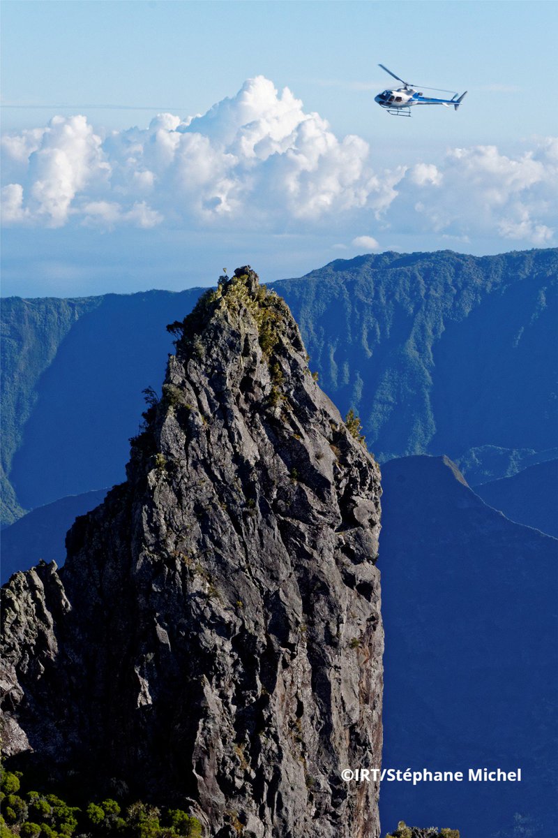 Réunion Tourisme tweet media