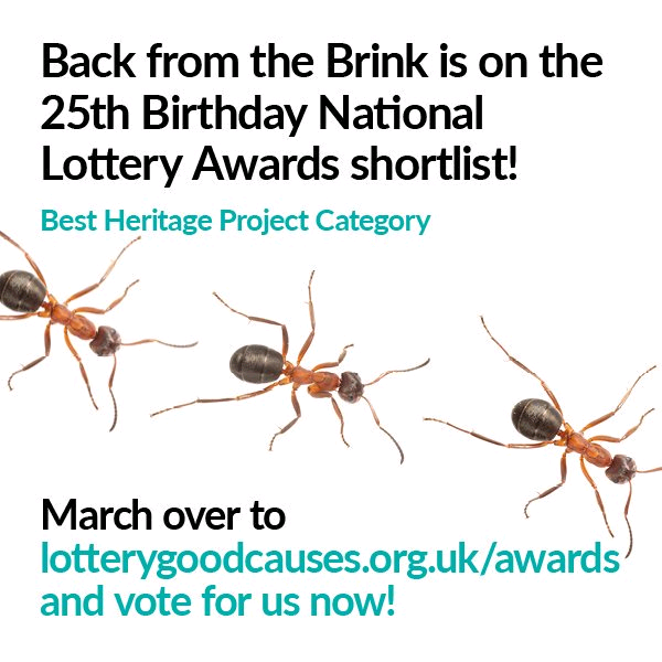 Tomorrow is the last day to vote for <a href="/NatureBftB/">Back from the Brink</a> in the National Lottery Awards. We are proud to be part of this ground-breaking partnership which is working hard to save some of England's most threatened species from extinction.
Please vote for us here lotterygoodcauses.org.uk/projects/view/…