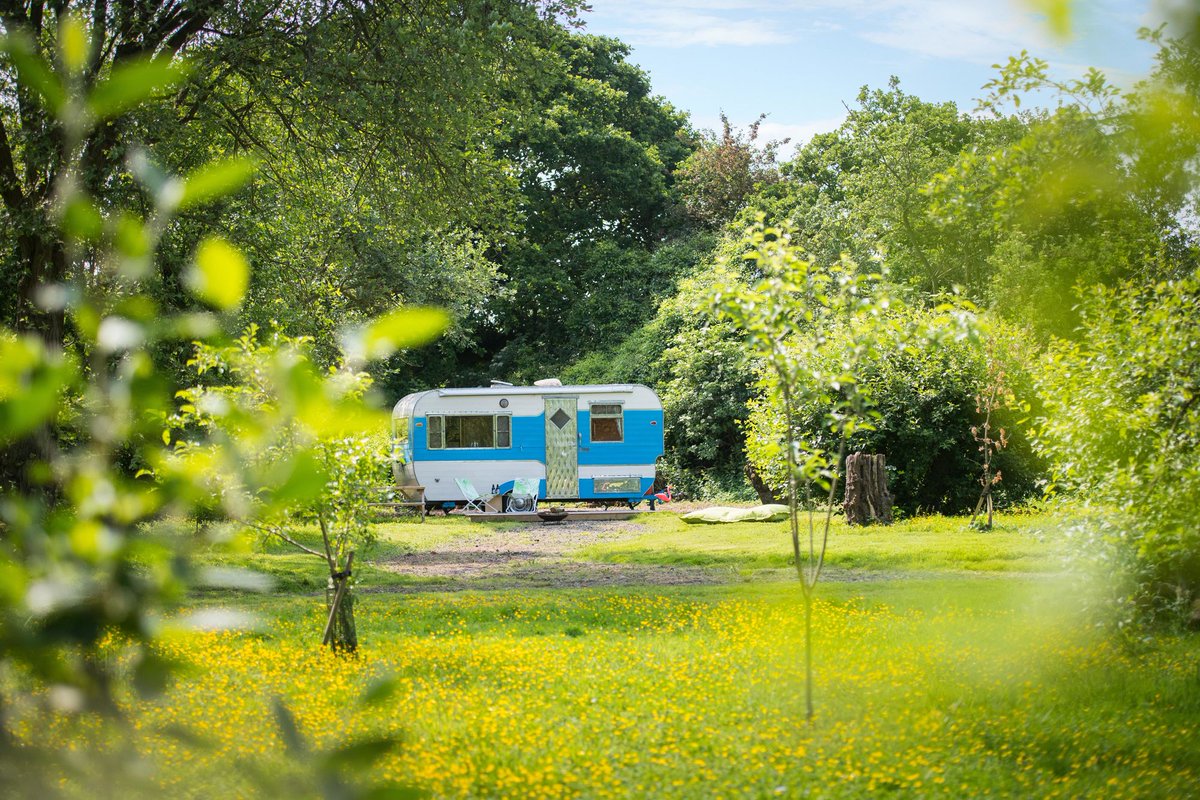 Looking for something truly special this weekend? This authentic 1957 Jewel caravan in Norfolk is now available, featuring an incredible original interior, 50's features and fittings and a magical setting in an old orchard.

Available to book here 👉 bit.ly/2OZVcxd