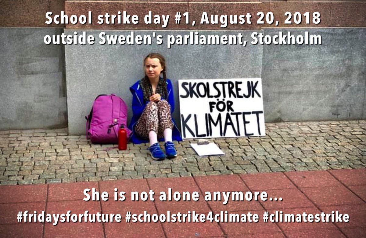 A hand painted sign, a determined young woman, that is all it takes to change the world. 💚🌱🌎

#IstandWithGreta #fridaysforfuture  #schoolstrike4climate  #climatestrike