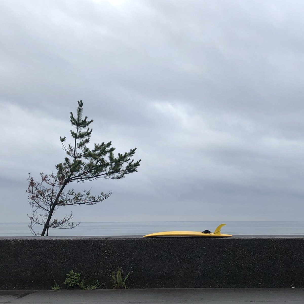 dic_urouro's tweet photo. トリップ先で自分でシェイプしたニューボード初乗り。イイ波で乗るとイイ板だと思える。第一印象は大事。結局のところ波次第。 #surf #surfboard #diy #selfshape #singlefin #yellow https://t.co/rDBRc8HBZg