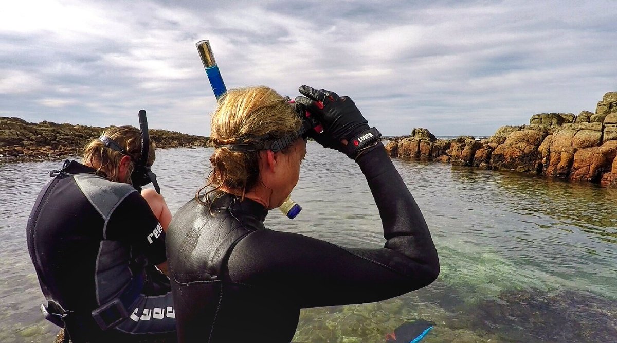 StrandloperP's tweet photo. On 21st September #StrandloperProject will survey #GerickesPoint and #Fransmanshoek reefs for snagged #recfishing as part of International #CoastalCleanupDay. #GardenRoute #SouthAfrica #ghostfishing #CleanOurOceans #KnysnaBasinProject @2OceansAquarium https://t.co/elG9mSn2Vr https://t.co/GO95aWc2yT