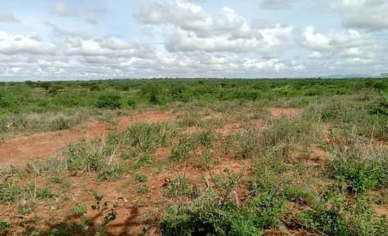 Firstpoint_'s tweet image. Purchase land one to five years BEFORE you plan to build. Pre-buying the land allows you to benefit from value appreciation. Rather than paying that higher value later.

Get 1/8 of an acre at Juja farm from Only ksh 450,000 with flexible.

#FirstpointProperties
#PrimeLand