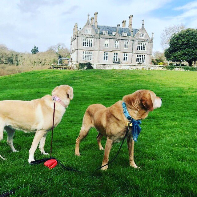 KitleyHouse's tweet photo. Did you know we open up the 500 acres surrounding the hotel to our restaurant and hotel residents? #kitley #woodland #lake #explore https://t.co/Rd0Dj3VCfC