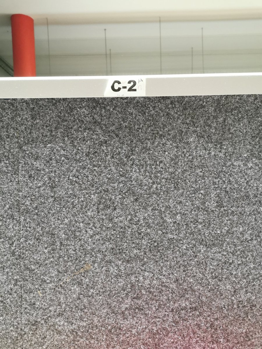 Together since 3rd year, always there for me.