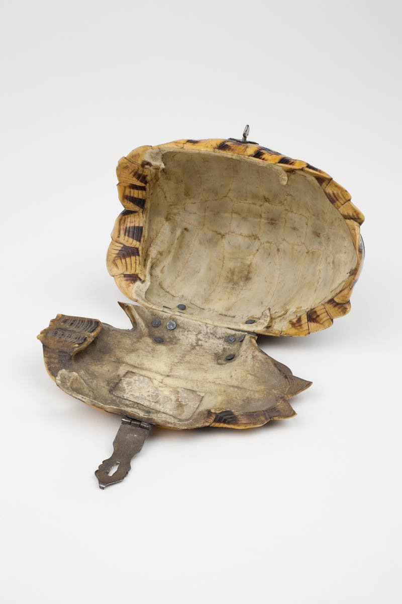 JanMooreMrsCox's tweet photo. A #Tortoise was kept at Lambeth Palace garden, #London from 1633 until it was accidentally killed by a gardener's spade in 1753.
#ExoticTrade #Tortoise

Indian star tortoise-shell with silver clasp casket, #17thCentury

Image Courtesy of the Shakespeare Birthplace Trust https://t.co/plcnfCE3jK