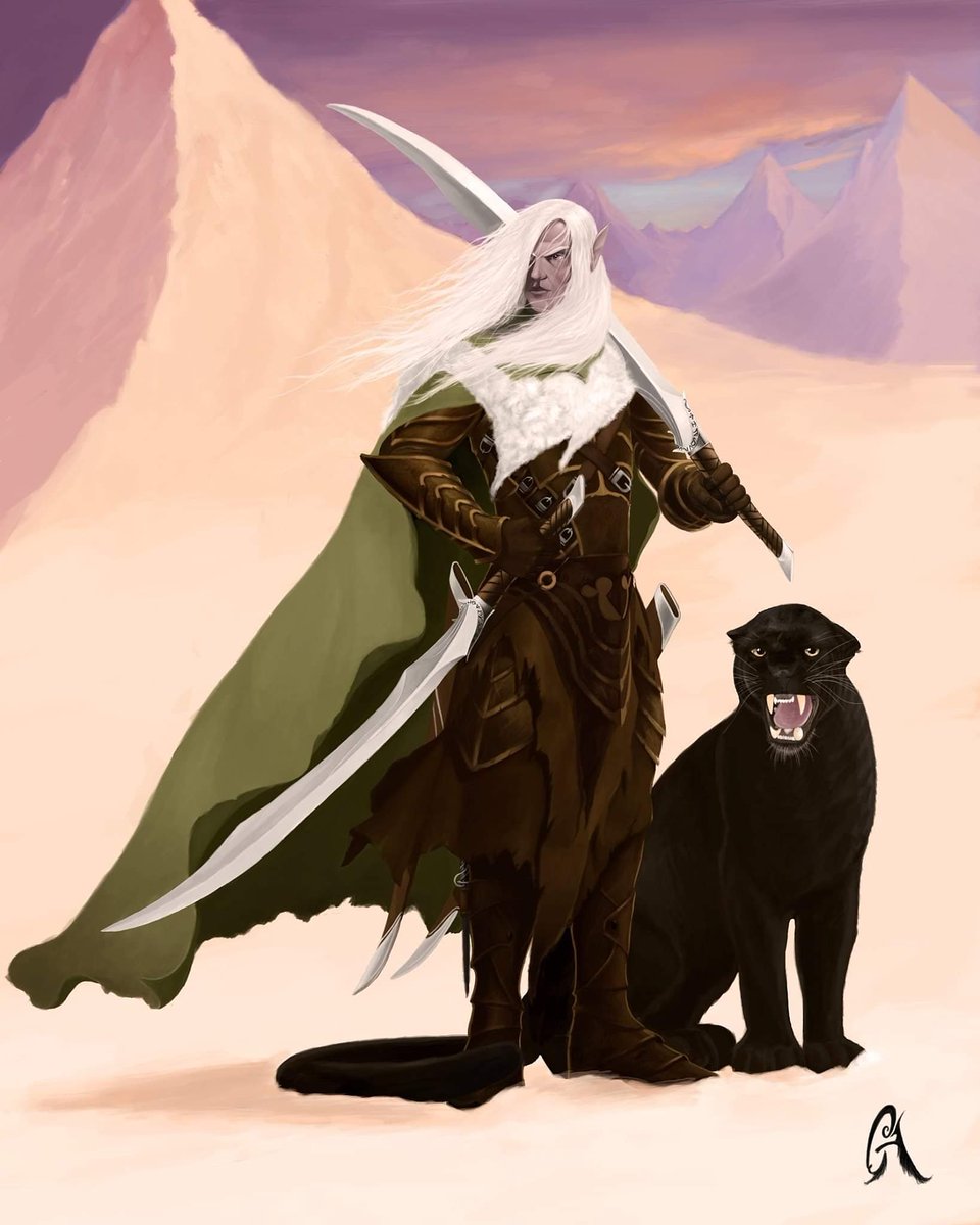 дзирт до урден книги по порядку. дзирт до'урден. темный эльф дзирт. дриззт до’урден. дзирт до урден.