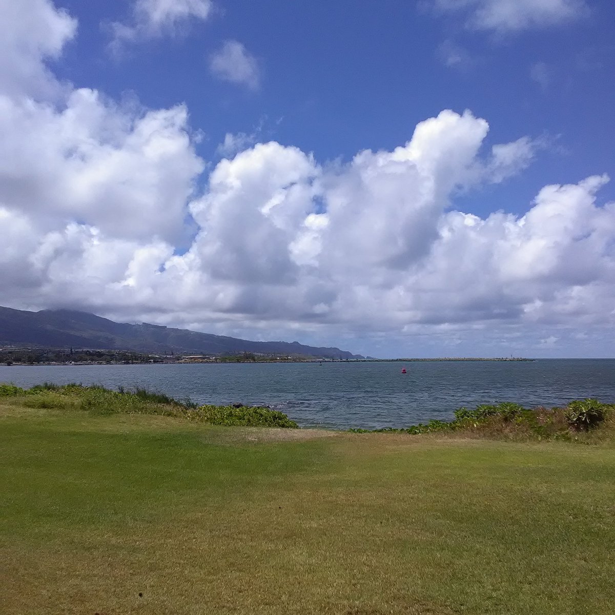 riegs1300's tweet image. #living808