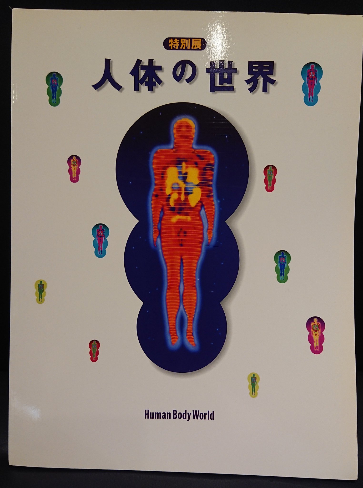 書肆ゲンシシャ 幻視者の集い Twitterissa 特別展 人体の世界 1995年 日本解剖学会が創立百周年を迎えたことを記念した展覧会です プラスティネーションによる本物の人間の死体を加工した標本を扱い 東京大学医学部が保存する夏目漱石の脳も披露されました