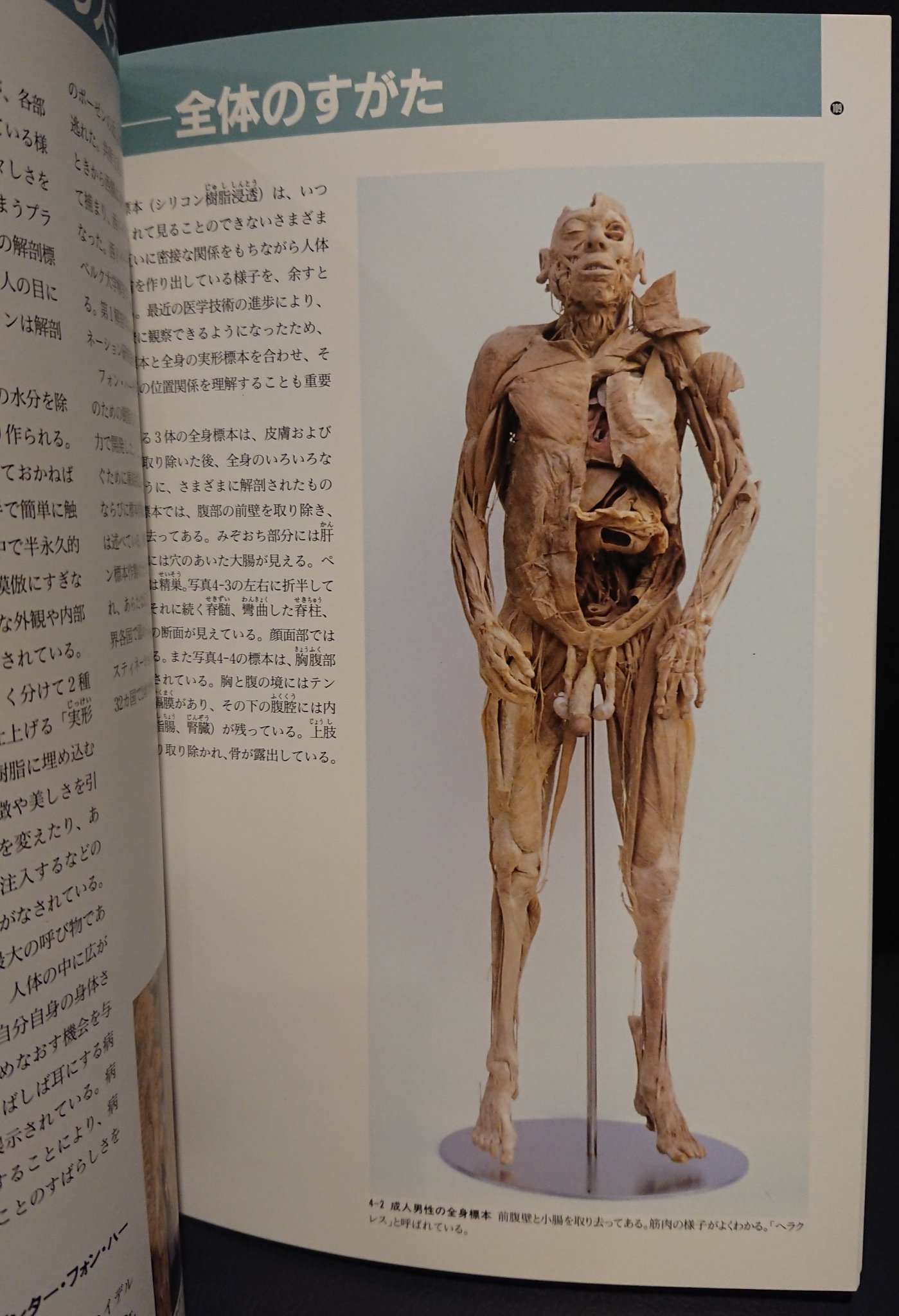 書肆ゲンシシャ 幻視者の集い 特別展 人体の世界 1995年 日本解剖学会が創立百周年を迎えたことを記念した展覧会です プラスティネーションによる本物の人間の死体を加工した標本を扱い 東京大学医学部が保存する夏目漱石の脳も披露されました