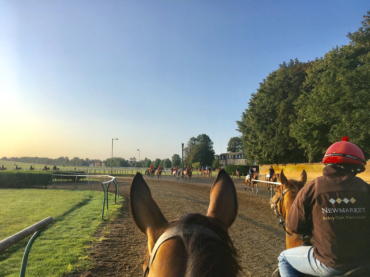 JohnWathenBerry's tweet photo. Single-digit temperature to start the day again @NewmarketGallop but warming up nicely in this sunshine. Big improvement on yesterday afternoon’s deluge. Forecast high 21 #Konigin #SussexGirl #SacredSprite @RafflesRacing https://t.co/aCRfEcJ4hU