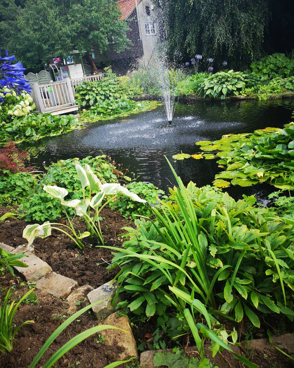 Wayside (@wayside_uk) on Twitter photo 