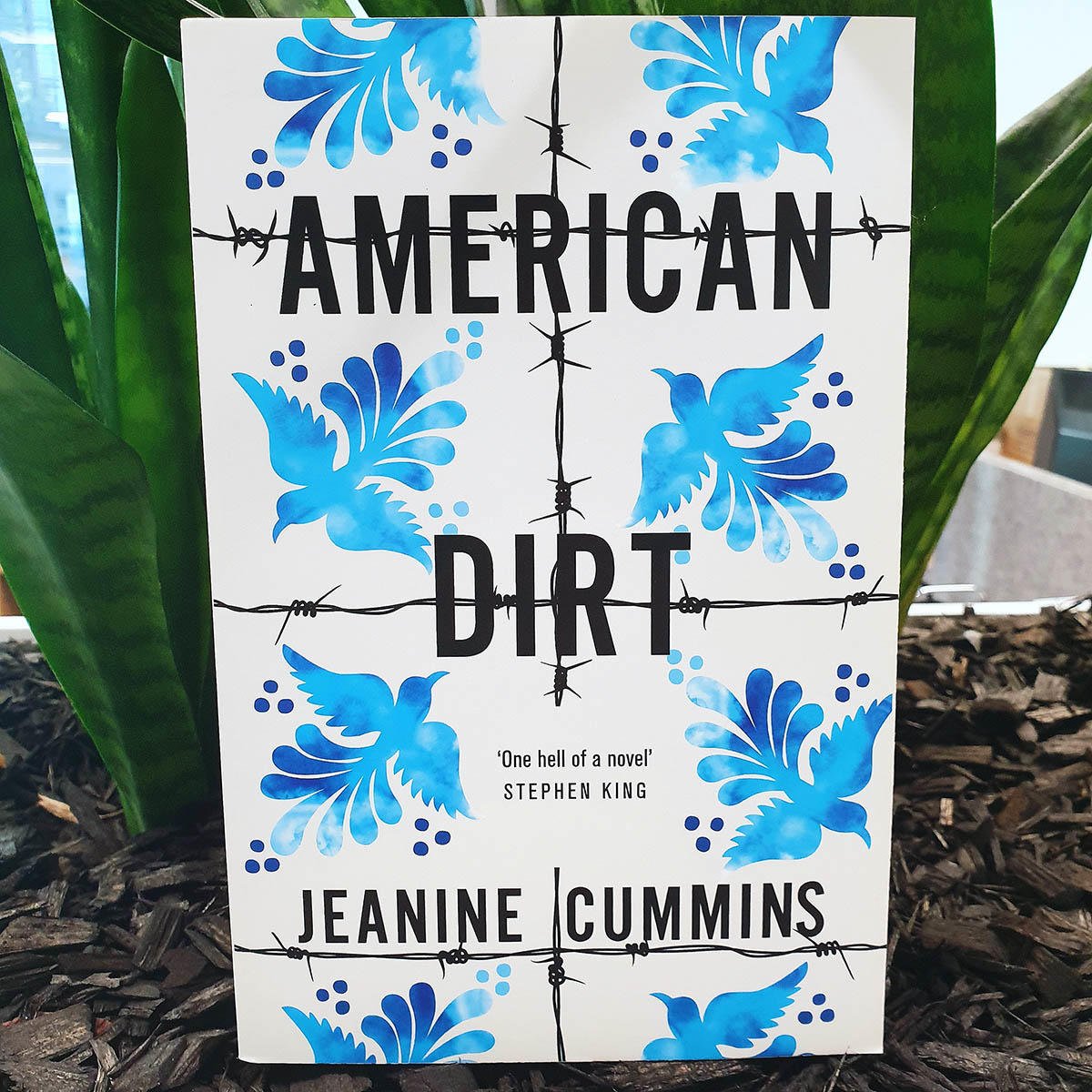 Our Senior Editor, Karen, says:

"#AmericanDirt is electrifying. It’s at once an edge-of-your-seat thriller and an acutely observed, heartbreakingly beautiful portrait of people in mortal danger who are bound together in love and loss."

We have a copy to share! Who'd like one?