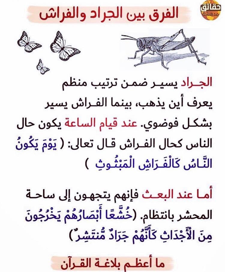 stalsnw's tweet photo. https://t.co/TiLrlJHuoH