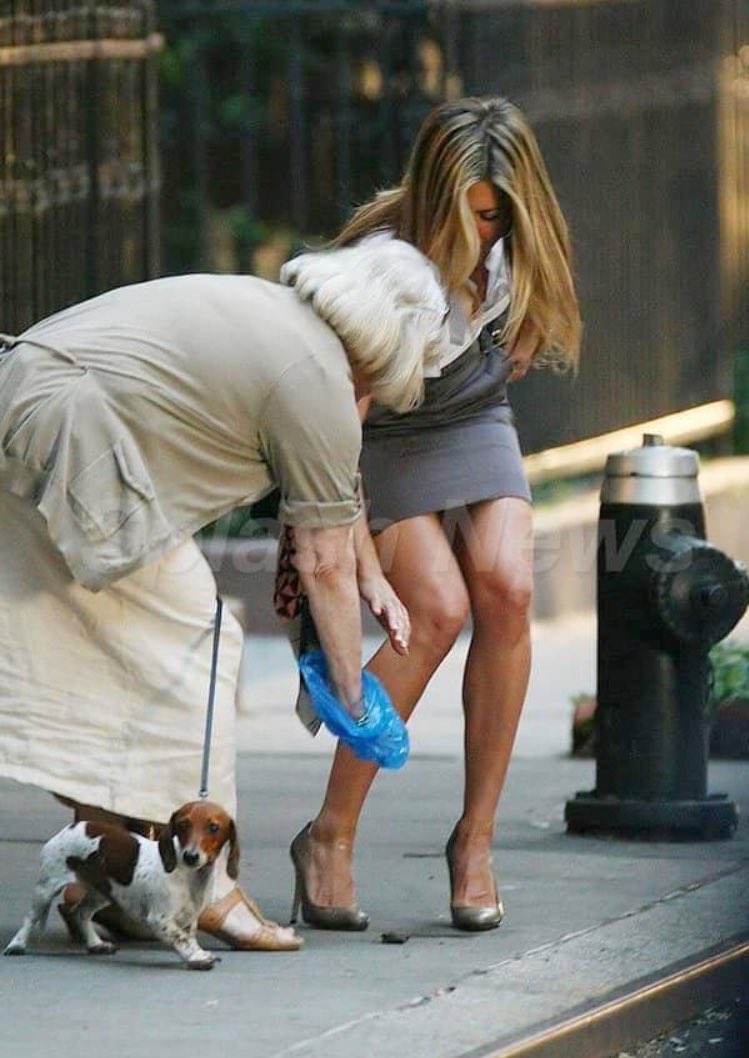 paramorepoem's tweet photo. imagine ze chcesz podniesc kupe swojego psa a jennifer aniston biegnie ci z pomoca https://t.co/6Endlw8ws2