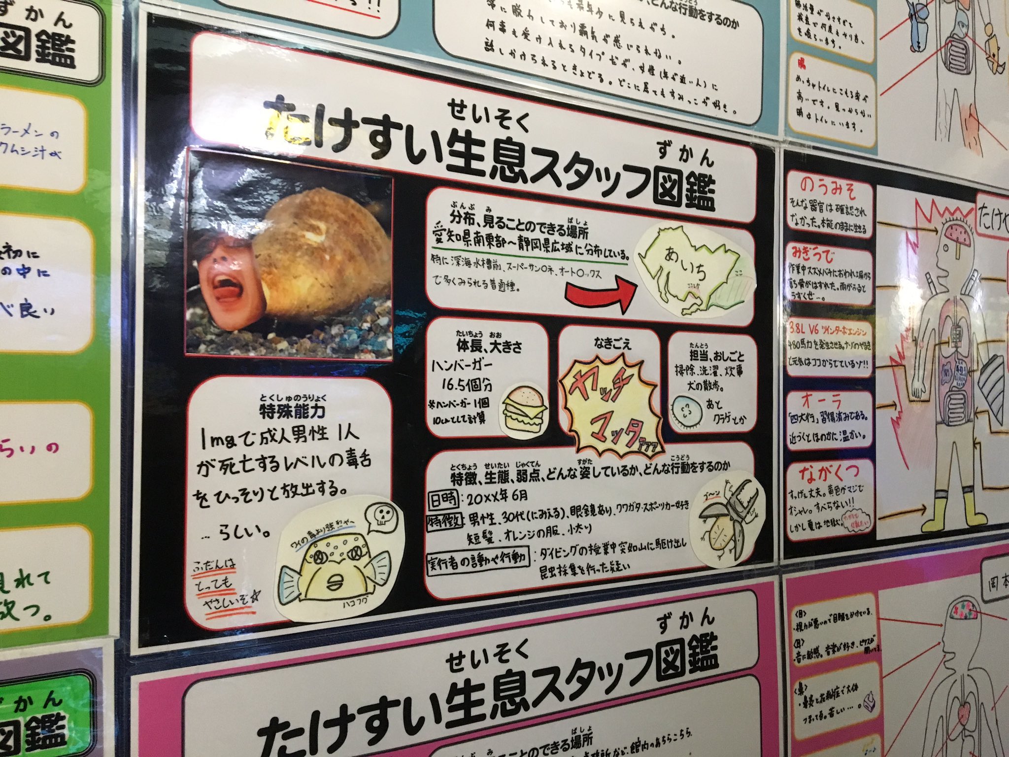 しながわ水族館にある ピラニア の説明イラストがシュールすぎるwww えのげ しながわ水族館にある ピラニア の説明イラストがシュールすぎるwww えのげ
