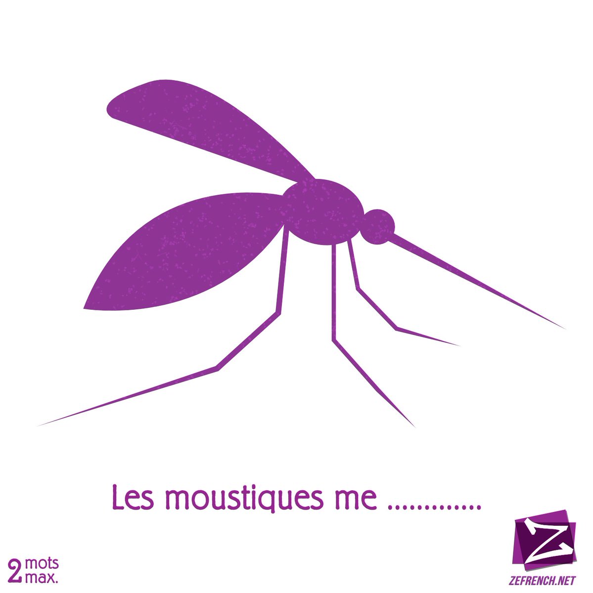 Je déteste les moustiques ! ⁠🐜🐝🐞🦗🕷🦂🦟 instagram.com/p/B01M5Lwh8uS/
#zefrench #learnfrench #francais #moustiques #camenerve #jedetesteca #ihateit #climattropical