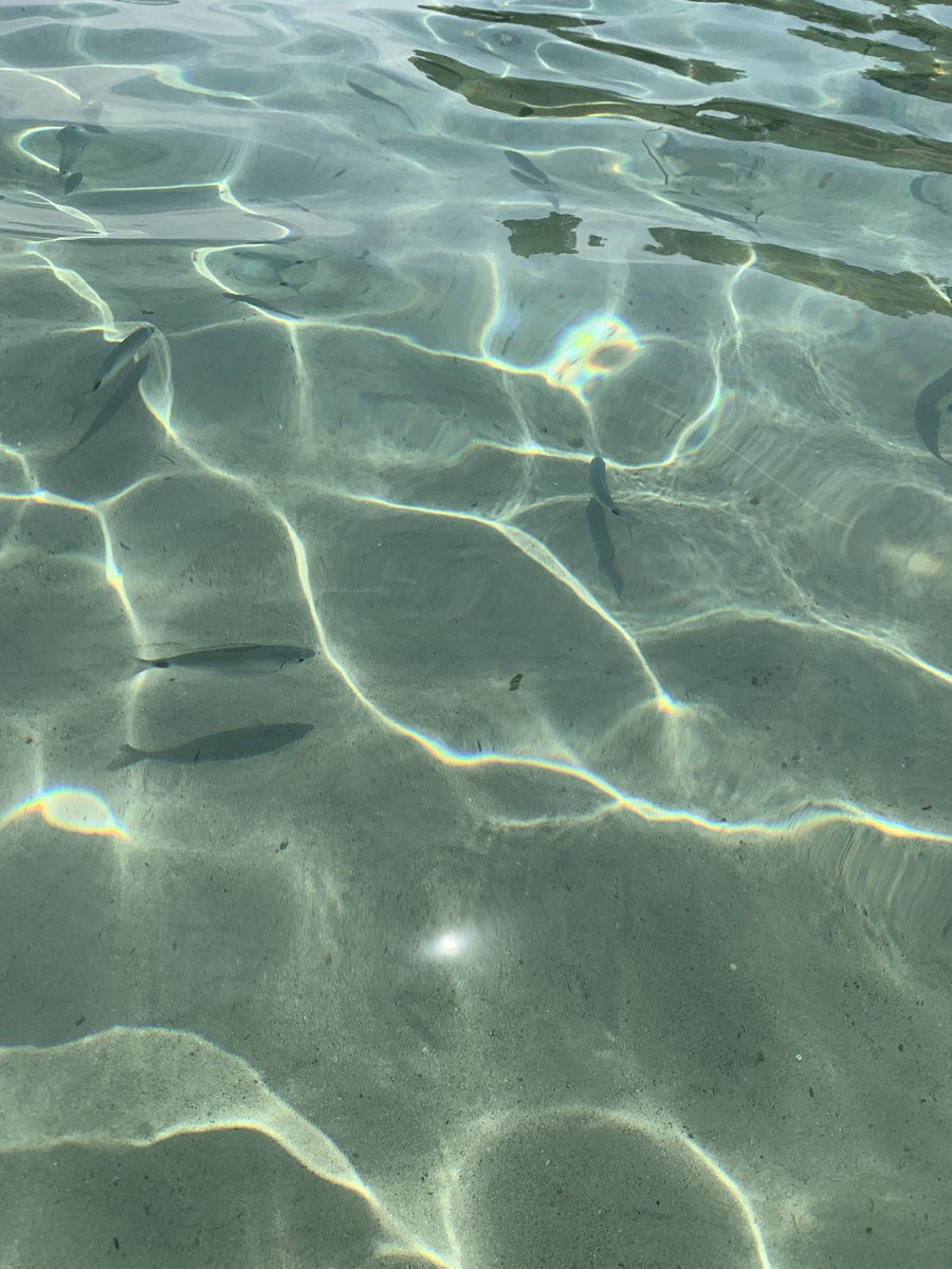 capsule_design's tweet photo. The fabrics we use for our swimwear styles are made of ECONYL® yarns and also provide UPF 50+ protection from the sun. https://t.co/sjMuwMQeWz