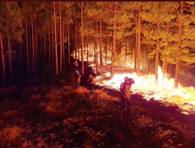 pablocasado_'s tweet image. Mañana estaré en Gran Canaria para apoyar a los más de 9.000 vecinos que han tenido que dejar sus casas por el fuego, conocer de primera mano la situación y agradecer a quienes dan lo mejor en los peores momentos: los servicios de emergencia, seguridad y extinción de incendios.