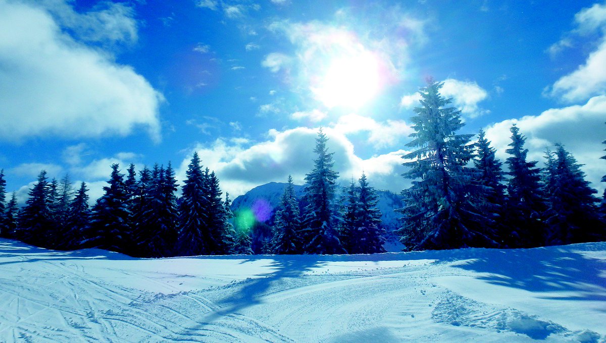 Ski In Luxury (@skiinluxury) on Twitter photo Have you ever thought about Telemark Skiing? Or ever wondered what it even is? Read our new Beginners Guide to Telemark Blog. <a href="/GBTelemark/">GB Telemark</a> <a href="/Telemark_Tracks/">Telemark Tracks</a> #freetheheel #tignesvaldisere ow.ly/cJny50vCXSt Have you ever thought about Telemark Skiing? Or ever wondered what it even is? Read our new Beginners Guide to Telemark Blog. <a href="/GBTelemark/">GB Telemark</a> <a href="/Telemark_Tracks/">Telemark Tracks</a> #freetheheel #tignesvaldisere ow.ly/cJny50vCXSt