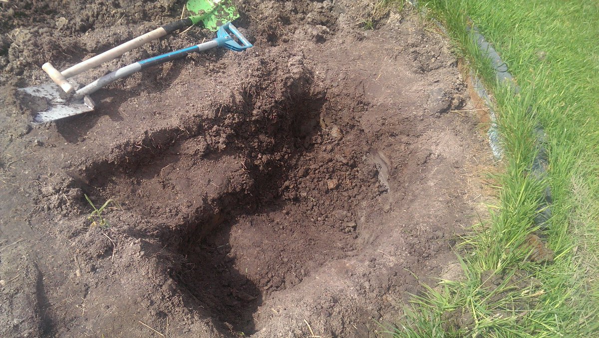 kutschisi's tweet image. Well so much for now....getting sore muscles....😅 but keep going just a little bit more for my #TeamCatMojo  #CatifyToSatisfy #DIY