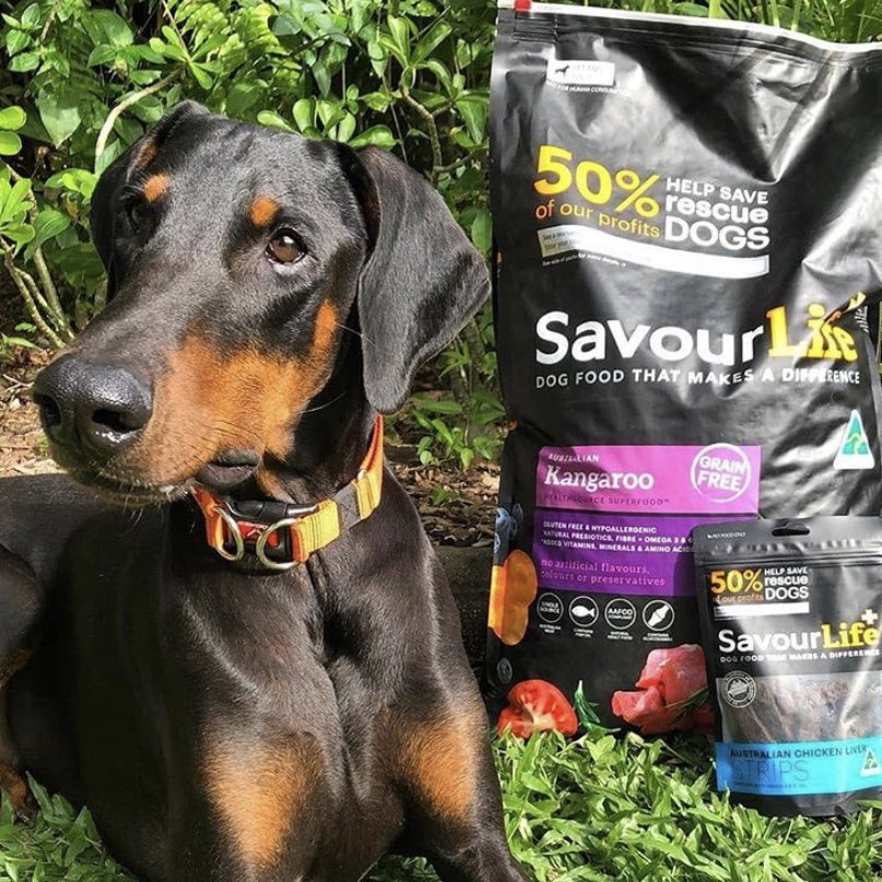 SavourLife's tweet image. Hi guys, I’m Skye! 👋🏻 I've been in care with @nqanimalrescue for some time now. I came from a regional pound and I needed some time to myself before looking for a home as I tested positive for Heartworm. I had to… instagram.com/p/B1V3eLvnEdS/… 
#adoptadog #savourlife