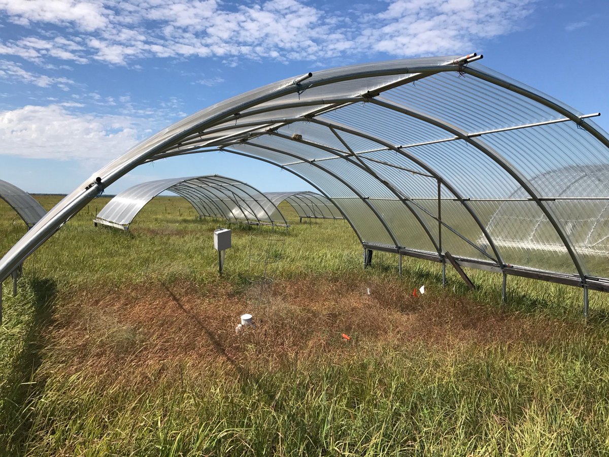 Robert Griffin-Nolan tweet media