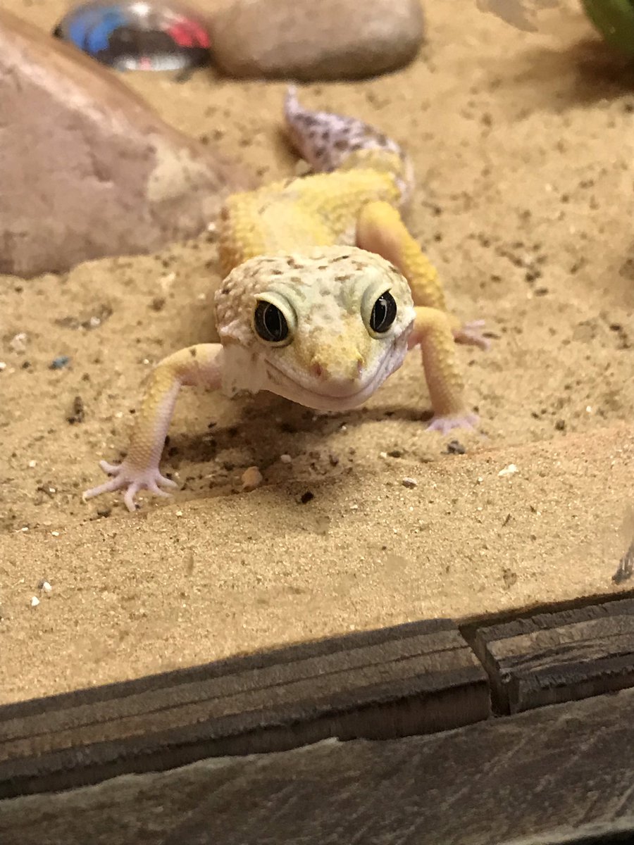 We took our daughter Pippa Daisy to <a href="/FarmerTedsFarm/">Farmer Teds</a> on Sunday and she had the most amazing time. She loved everything from the bouncy pillow to the maze, the soft play and go karts. 2 days later she is still holding onto her most precious memory, her entrance ticket 😂❤️.