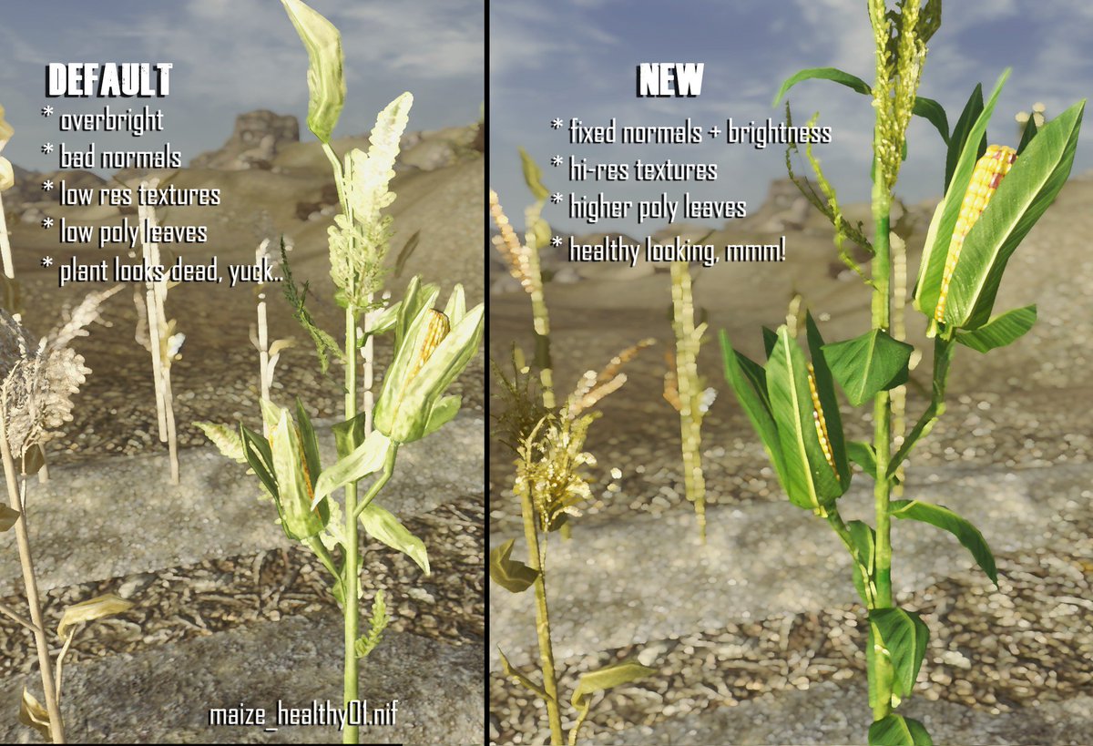 NexusSites's tweet photo. "Vurt's Improved Plants" is a replacer for some of the not-so-pretty plants found in #FalloutNewVegas
https://t.co/HbucEg2JXo
#NexusMods #FalloutMods #FalloutNV #FalloutNVMods #FNV #FNVMods #NewVegasMods https://t.co/RG7hK0QYLp