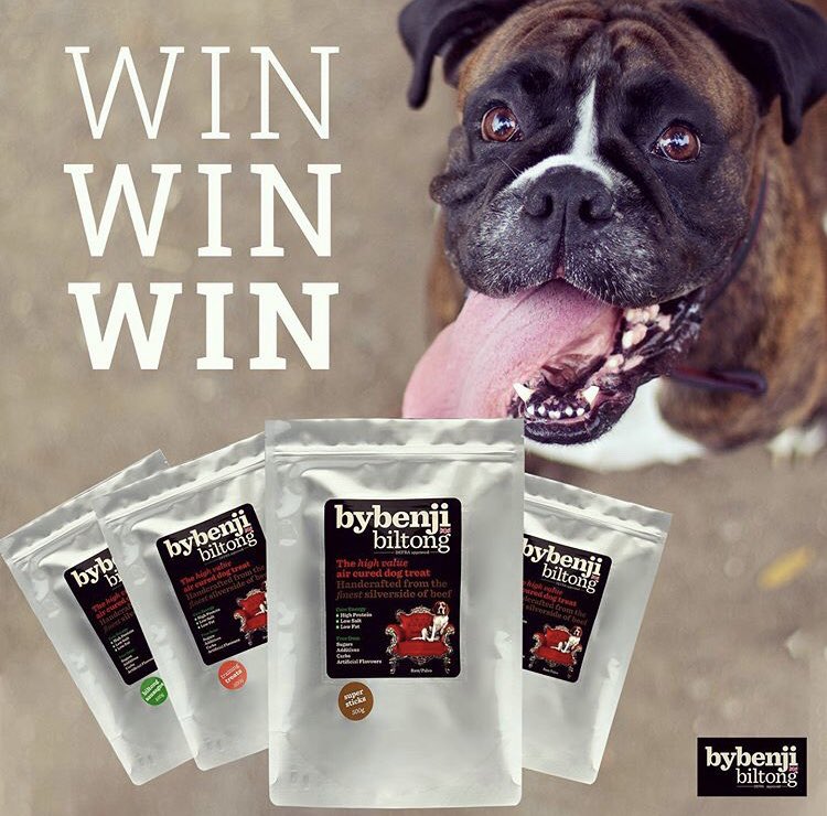 Hey guys- very excited to announce our biggest giveaway literally just went live! Details on our insta page but any social media shares would be much appreciated &amp; we look forward to returning the favour!! #giveaway #dogfriendly #biltonglovers #thankyou #bybenjilove
