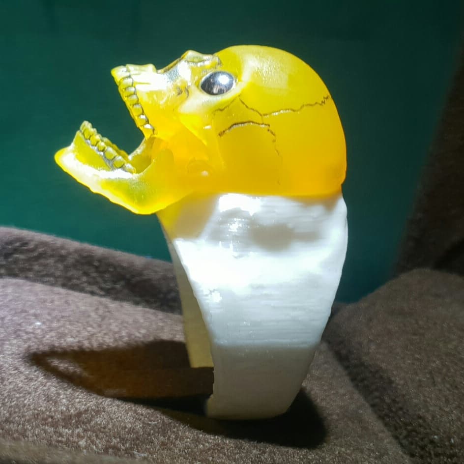 Horned_Octopus's tweet photo. https://t.co/EAw0kFjrh1
#3d #3dmodeling #fantasy #conceptart #conceptdesign #jewelry #jewelrydesign #skullart #humanskull #skull #spaceship #3dprint #3dprinted #3dprintingmodel #art #artwork #psygorn https://t.co/sqHJms0TPi