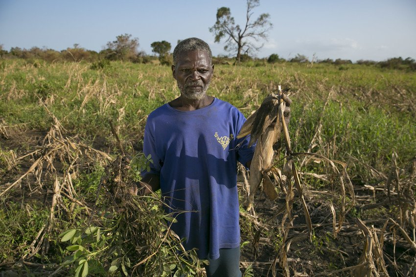 ConcernUK's tweet photo. @Dec #ConcernSummerNewsletter
🌱You're helping to provide #drought-resistant seeds
🌽Training in conservation #agriculture
👩🌾Livelihood programmes like farming schools, to help people improve their lives & cope better when disasters strikes
#CycloneIdaiUpdate #TuesdayMotivation https://t.co/X8D5FCVsTB
