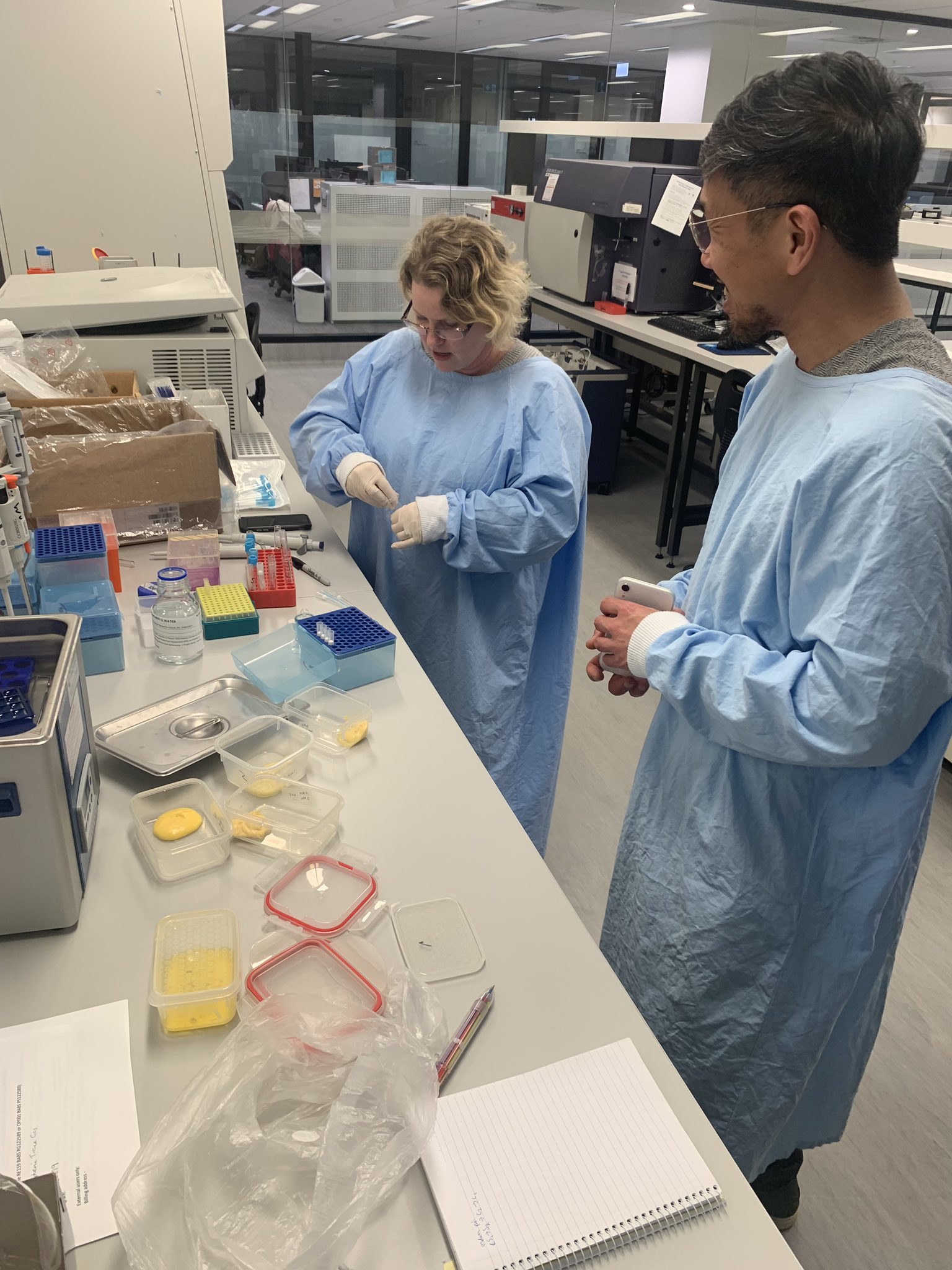 Unsw Flow Cytometry On Twitter Analysing Hollandaise Sauce For 