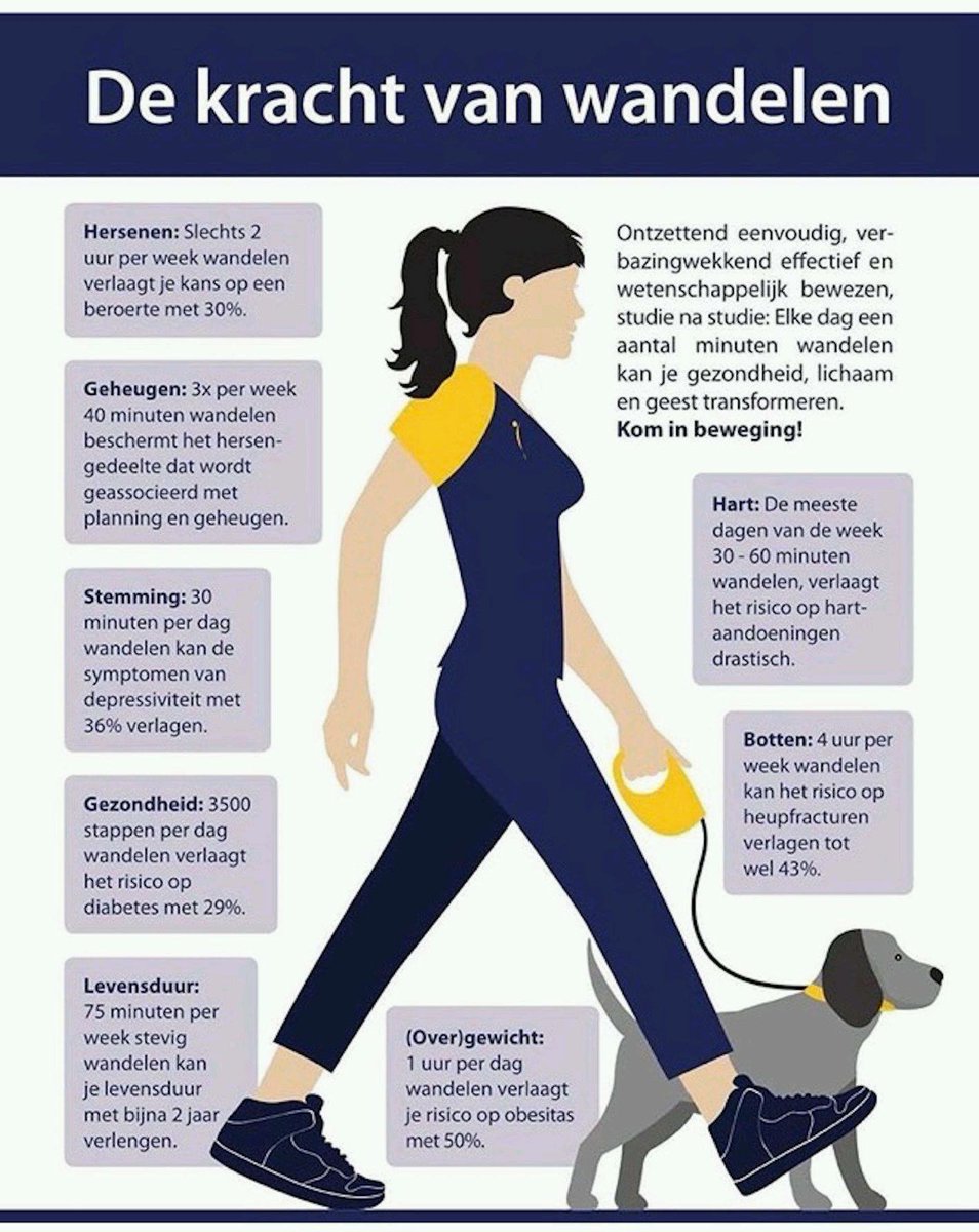 SpoedZorgNet's tweet photo. De effecten van wandelen op de gezondheid, #wetenschappelijk aangetoond.

https://t.co/MfuErF8n1k https://t.co/vx73I4sMzt
